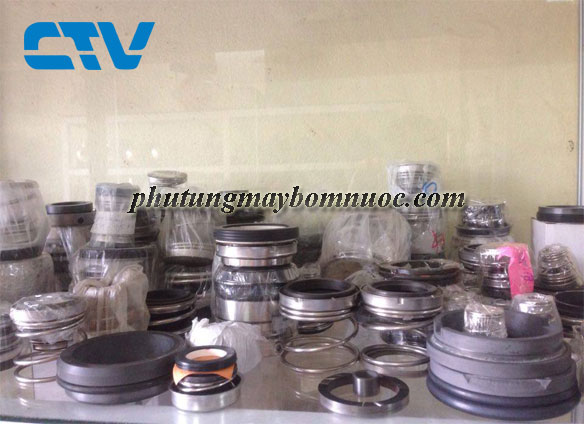 Thay phụ kiện chính hãng cho máy bơm công nghiệp.